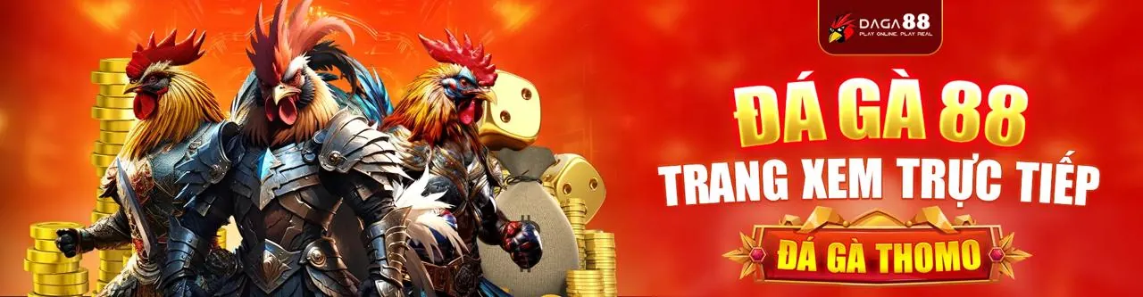 Đá gà trực tuyến 79king12 com với không khí sôi động