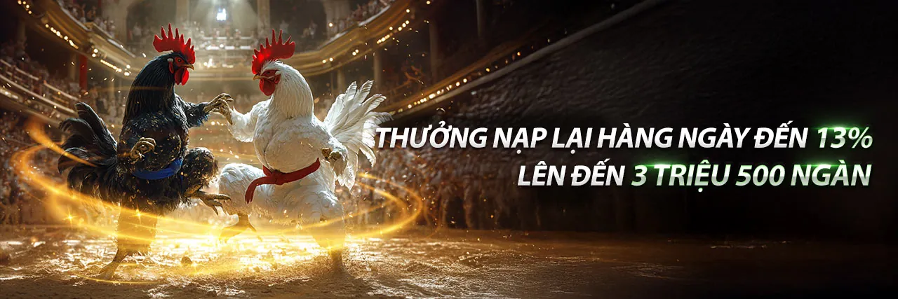 Hình ảnh minh họa Điều khoản Dịch vụ của 79king12
